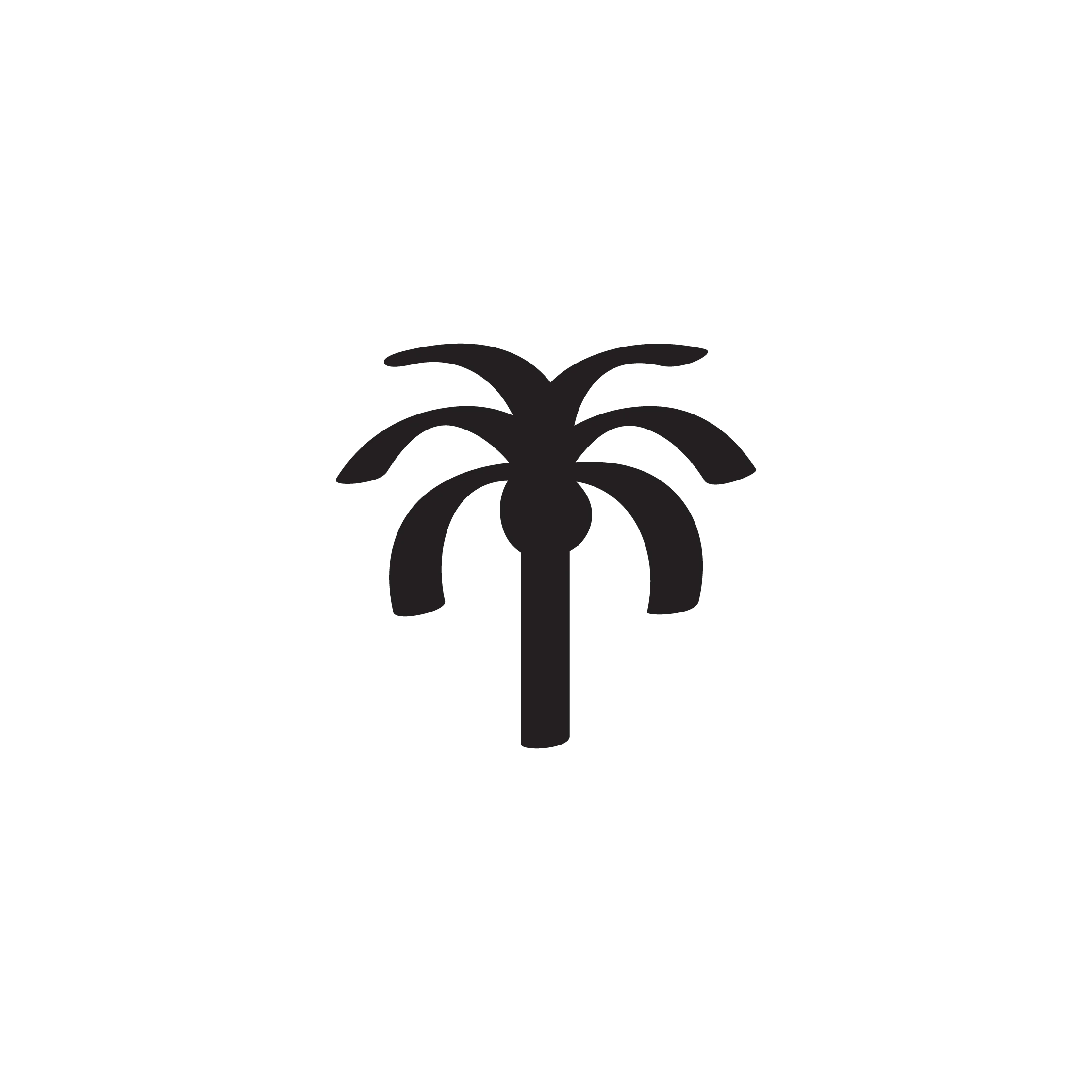 Palm